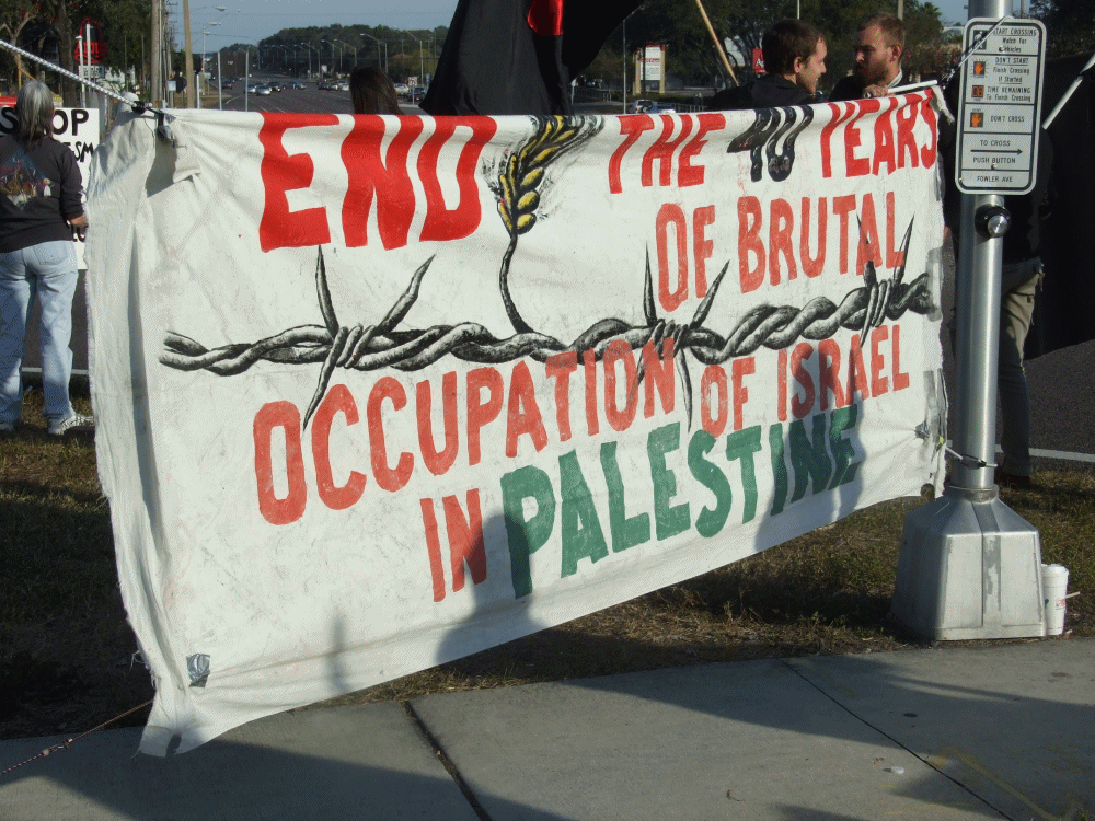 Gaza demonstration, Temple Terrace, FL, Nov. 24 2012. Protest Israel. Pro-Palestinian action. St. Pete for Peace, Friends of Human Rights, Islamic Community of Tampa, CAIR FL, The Refuge, NatureCoast Coalition for Peace and Justice